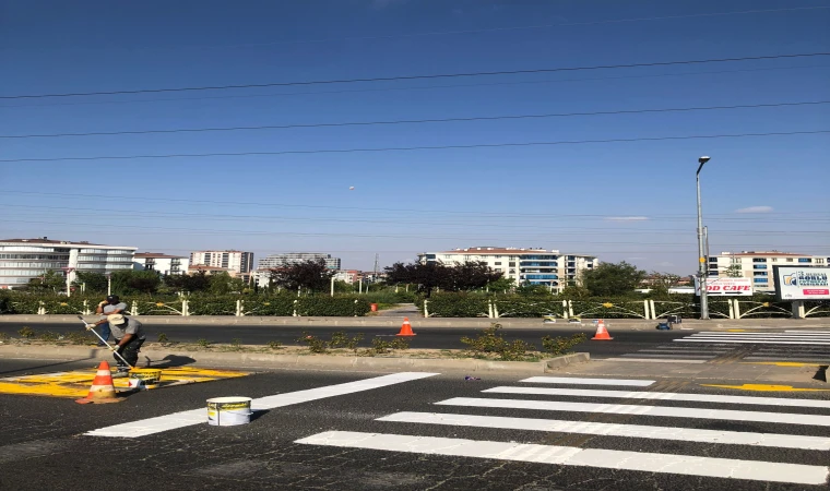 Yaya Geçitleri Boyandı