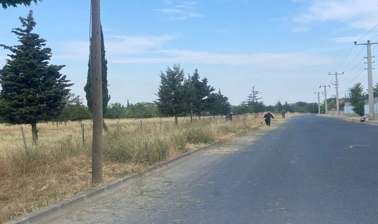 TEMA PARKI’NDA OTLAR BİÇİLDİ