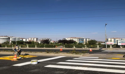 Yaya Geçitleri Boyandı