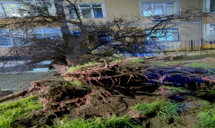 Çorlu’da Fırtına Etkili Oldu