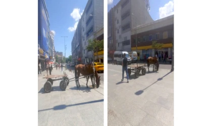 Vatandaşı Şaşkına Çeviren Görüntü