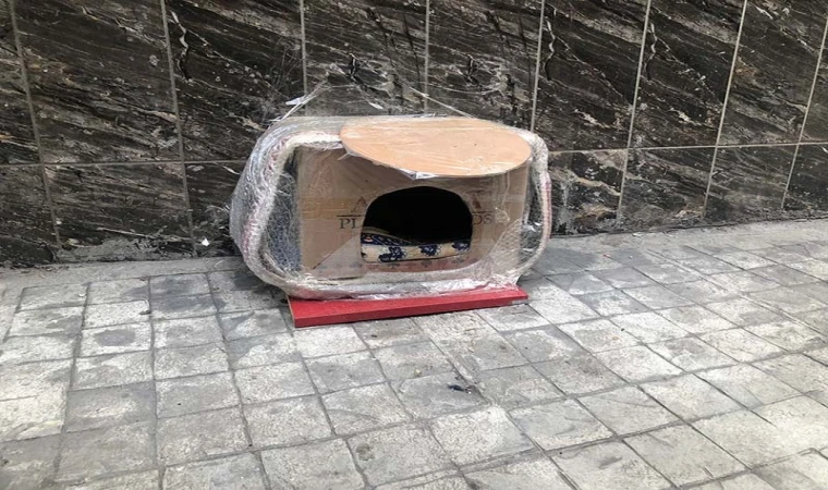 Esnaftan Yürekleri Isıtan Hareket