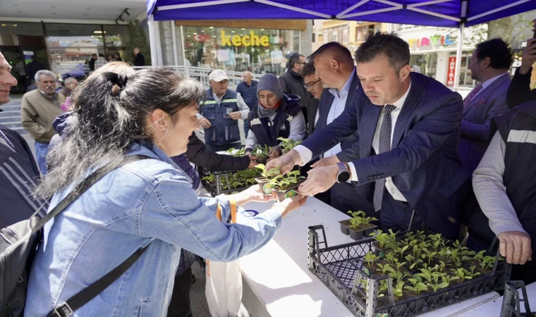 Belediye Seymen Kavunu Fidesi Dağıttı