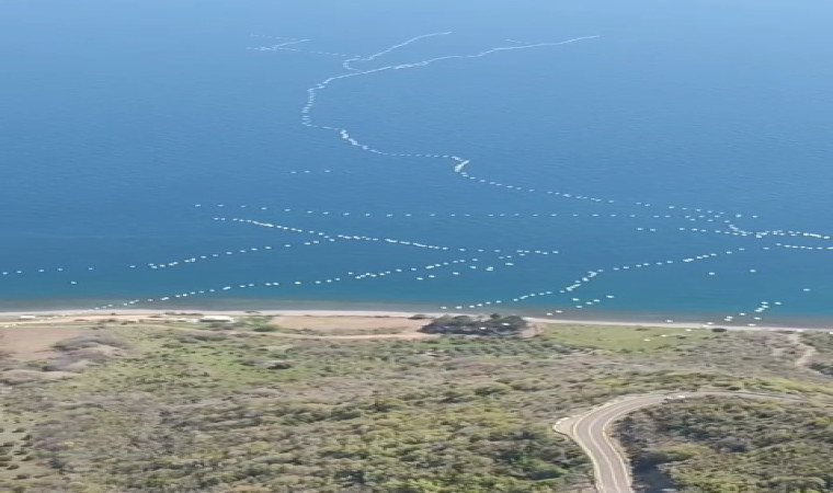 Göç yolundaki pelikanlar mest etti: Gökyüzünden muhteşem görüntüler