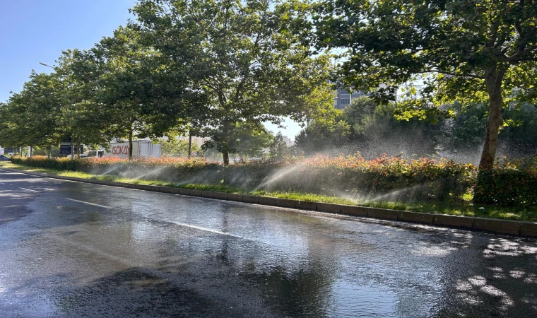 Bitkilerden Çok Yollar Sulanıyor