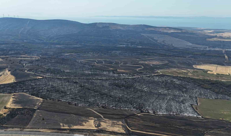 Tekirdağ’da başlayarak Çanakkale’ye ulaşan orman yangınında yanan yerler dron ile görüntülendi