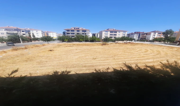 Otluk Alanla İlgili Endişeler Giderildi