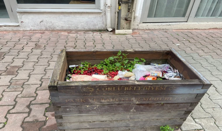 Bu Şehir Estetikten Çok Uzak