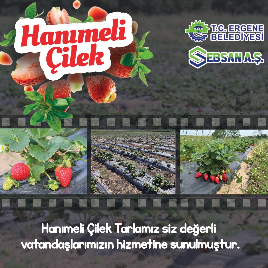 ebsan reklam3