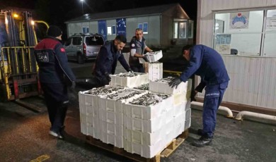 İstanbul’da su ürünleri denetlendi: 7.5 ton su ürününe el konuldu