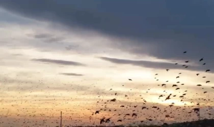 Şehrin semalarında muhteşem dans