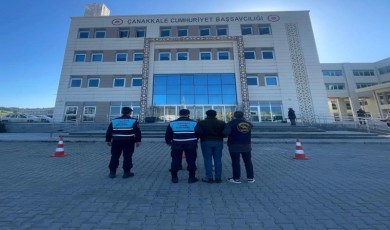 Çanakkale’de 1 koç ve 3 koyun çalan 2 şüpheli jandarma tarafından yakalandı