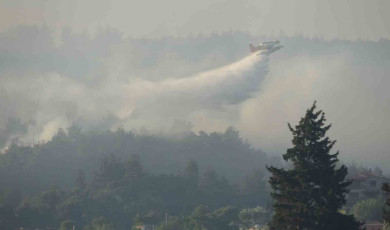 Tarım ve Orman Bakanı İbrahim Yumaklı: ”Yangından etkilenen alanın yaklaşık 575 hektar olduğunu tahmin ediyoruz”