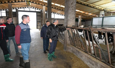 Edirne’de ari damızlık hayvan üretim merkezi yapılacak