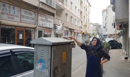 Her Sabah Martıyı Beslemesi Takdir Topluyor