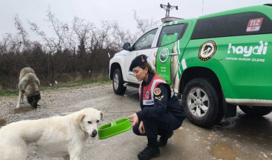 Kırklareli’nde jandarma ekipleri sokak hayvanların unutmadı