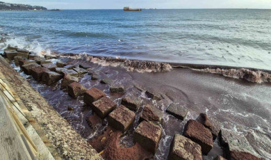 Tekirdağ kıyılarında kızıl yosun istilası
