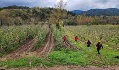 Çanakkale’de zirai don hasar tespit çalışmaları devam ediyor