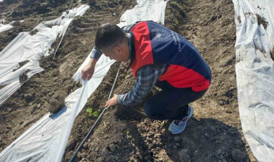 Çanakkale’de zirai donun ardından hasar tespit çalışmaları