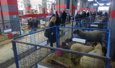 Ezine’de 2. Gıda, Hayvancılık ve Tarım Teknolojileri Festivali yoğun ilgi gördü