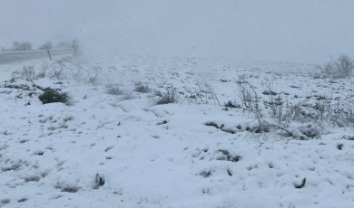 Hayrabolu’da kar yağışı etkili oluyor