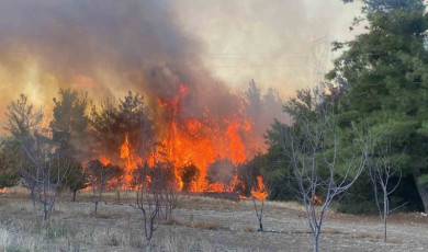 (ÖZEL) Çanakkale’de 4 hektar ormanlık alanın etkilendiği yangına sebep olan 2 kardeşe 4 milyon 600 TL para cezası kesildi