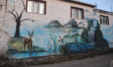 Resim öğretmeni üretmeden duramıyor, hem köyü renklendirdi hem de eski ruhunu getiriyor
