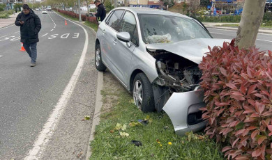 Tekirdağ’da refüje çıkan otomobil ağaca çarptı: 3 yaralı