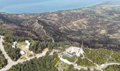 (Özel) Tarihi bölgede 980 futbol sahası büyüklüğünde alan yanmıştı: Orman yeniden yeşermeye başladı