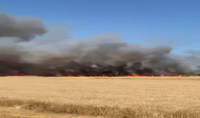 Biga’da tarım arazisinde yangın çıktı