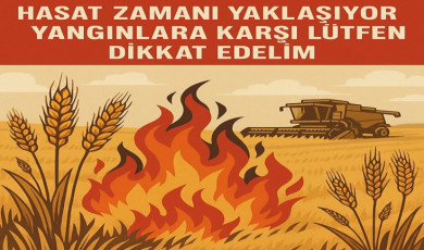 Hayrabolu İlçe Tarım ve Orman Müdürlüğü uyardı: ”Anız yakmayalım, sigara izmariti atmayalım, tedbiri elden bırakmayalım”