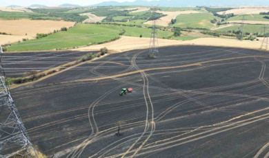 Tekirdağ’da buğday tarlasında çıkan yangında 250 dönüm kül oldu