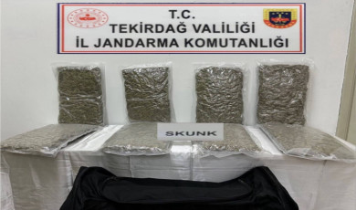 Tekirdağ’da otoyol gişelerinde 12 kilogram skunk ele geçirildi