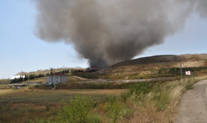 Yine Yangın Yine Çevre Felaketi!
