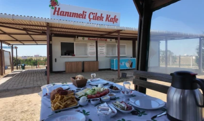 Ergene’de Lavanta Ve Çilek Tarlası Yeniden Hizmette