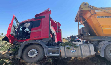 Hafriyat kamyonu ağaca çarptı: 2 yaralı