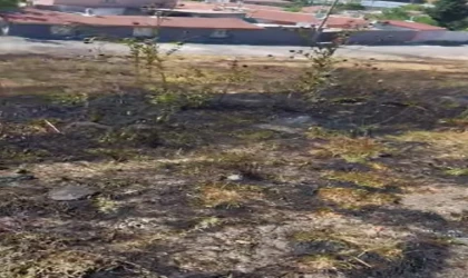 Otluk Alanda Çıkan Yangın Korkuttu