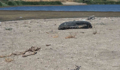 Tekirdağ’da gölette su seviyesi alarm veriyor