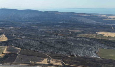 Tekirdağ’daki orman yangınında Çanakkale’de 119 futbol sahası büyüklüğünde alan yandı