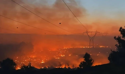 Tekirdağ’ın Ciğerleri Küle Döndü