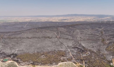 Yangında tahribatın boyutu havadan görüntülendi: Dev alanlar kül oldu