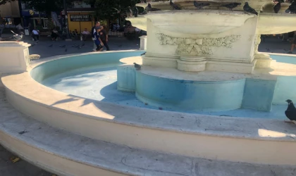 Yaz Sıcağında Güvercinler Susuz Kalıyor!