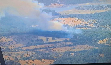 Ayvacık’ta ormanlık alanda yangına, müdahale devam ediyor