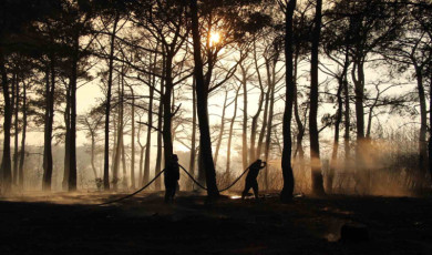 Bakan Yumaklı, yangın büyük ölçüde kontrol altına alındı
