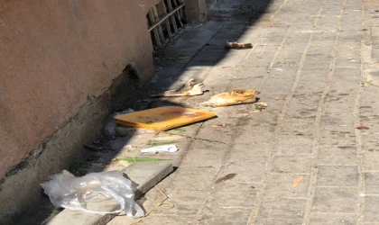 Çevre Kirliliği Günden Güne Artıyor