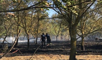 Hatıra Ormanında Korkutan Yangın