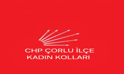 “Kadın Cinayetleri Münferit Değil, Politiktir!”