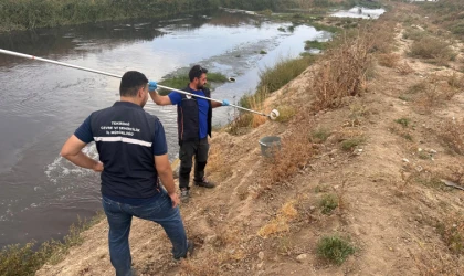 Çevre Sorunlarına Karşı Müdürlük Teyakkuzda