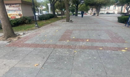 Kaldırımların Üzeri Kuş Pisliğinden Geçilmiyor