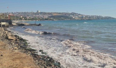 Tekirdağ’da poyraz fırtınası kıyılarda kızıl yosunlara neden oldu